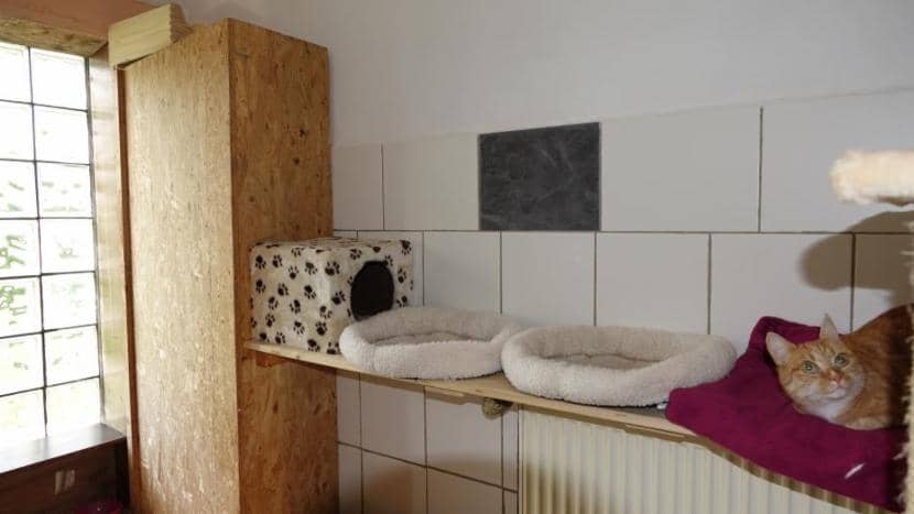 Katzenbereich mit Liegebrett über der Heizung, Katzenhöhle und Kratzbaum