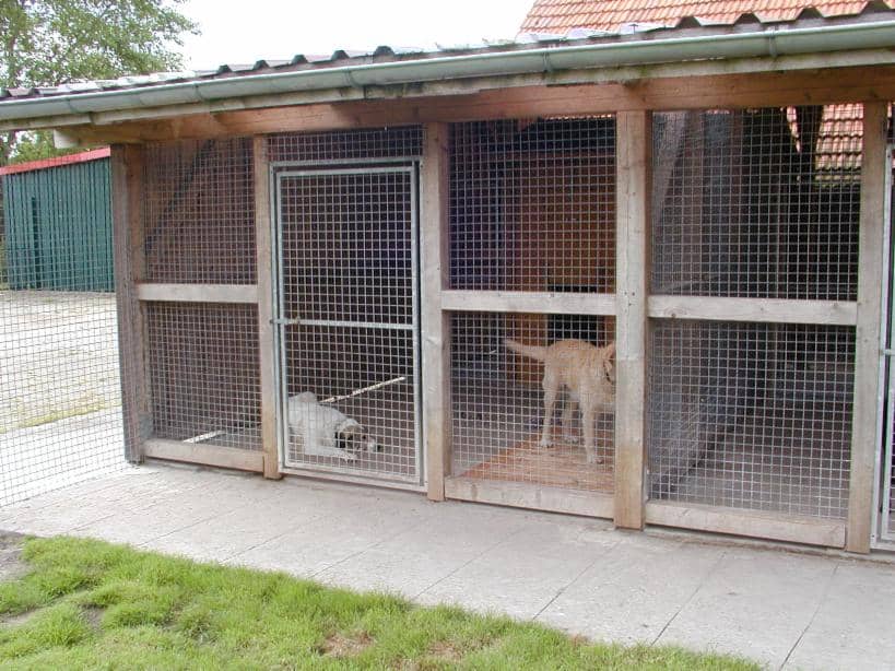 Reihe überdachter Zwinger in Holzbauweise, davor ein gepflasterter Weg